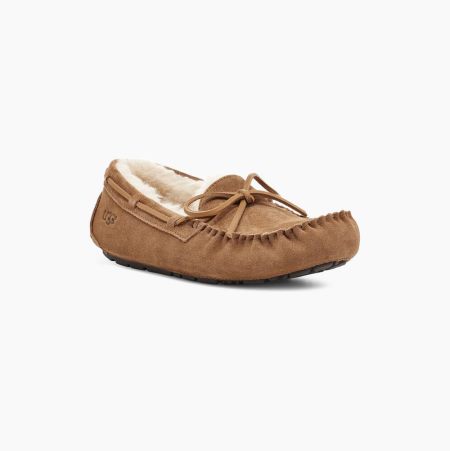 UGG Olsen Brown Slippers for Men (KQFB36584)